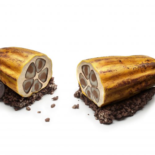Bûche_CinqSens_Laurent_Fau Bûche_CinqSens_Laurent_Fau