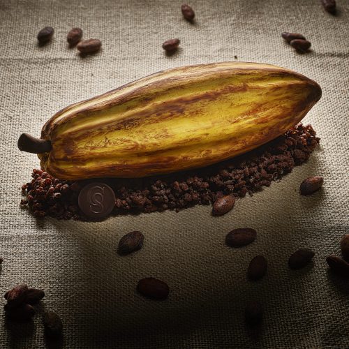 Bûche_CinqSens_Laurent_Fau Bûche_CinqSens_Laurent_Fau